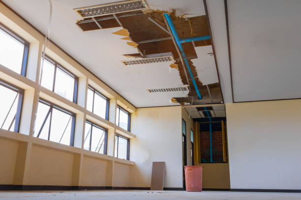 Best Basement water damage restoration  in Mino Tassajara, CA