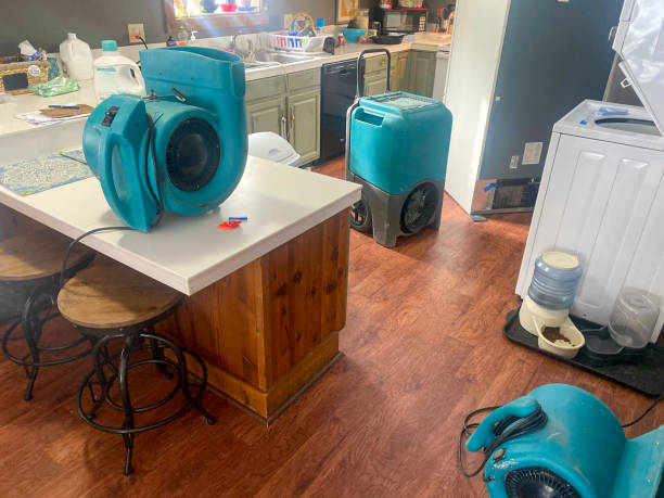 Best Sewage cleanup and water damage restoration  in Mino Tassajara, CA