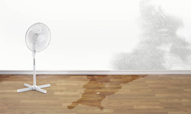 Best 24-hour water damage restoration  in Mino Tassajara, CA