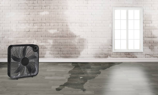 Best Commercial water damage restoration  in Mino Tassajara, CA