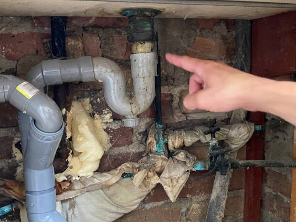 Best Fire Damage Restoration  in Mino Tassajara, CA
